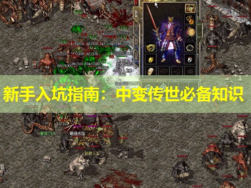 新手入坑指南:中变传世必备知识 新手入坑指南:中变传世必备知识