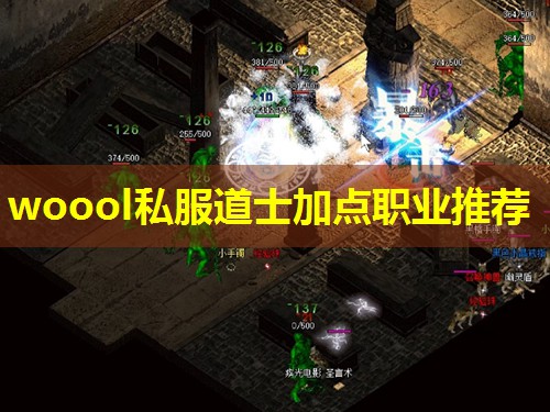 woool私服道士加点职业推荐 woool私服道士加点职业推荐