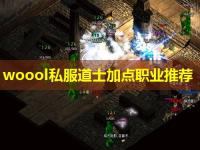 woool私服道士加点职业推荐