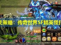 副本通关策略：传奇世界SF精英怪打法详解